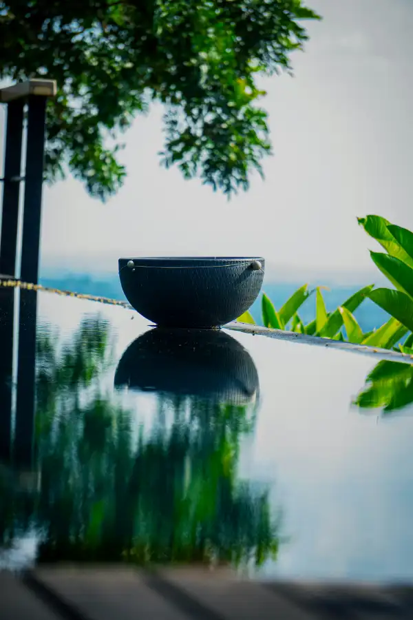 A dark ceremonial bowl resting at the edge of still water