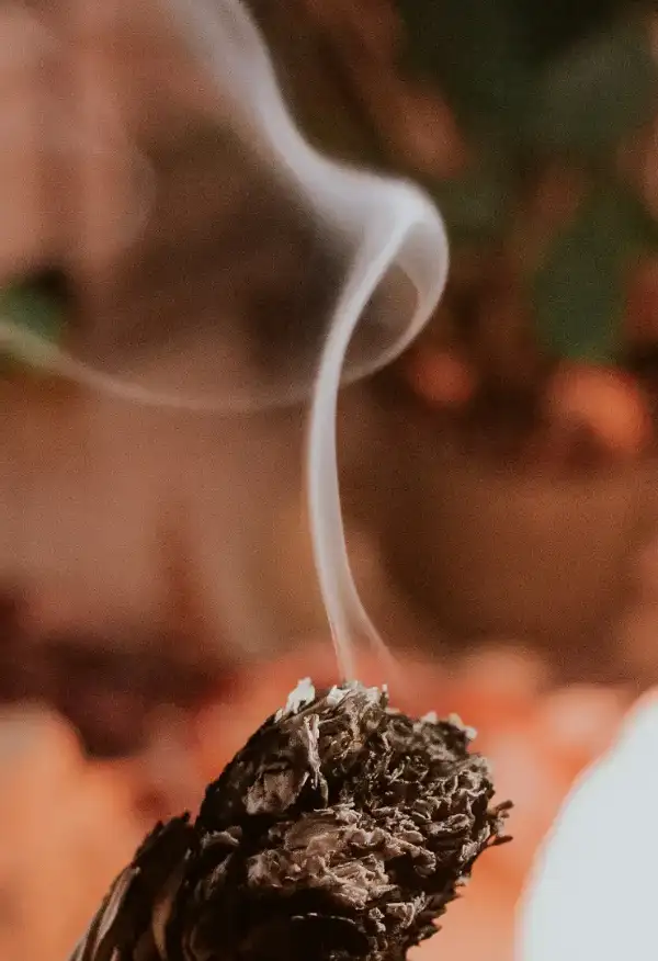 Smoke rising from a smoldering smudge stick